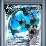 2024 9 Colors Gather: Peng S. Chinese Rayquaza V #146 PSA 10